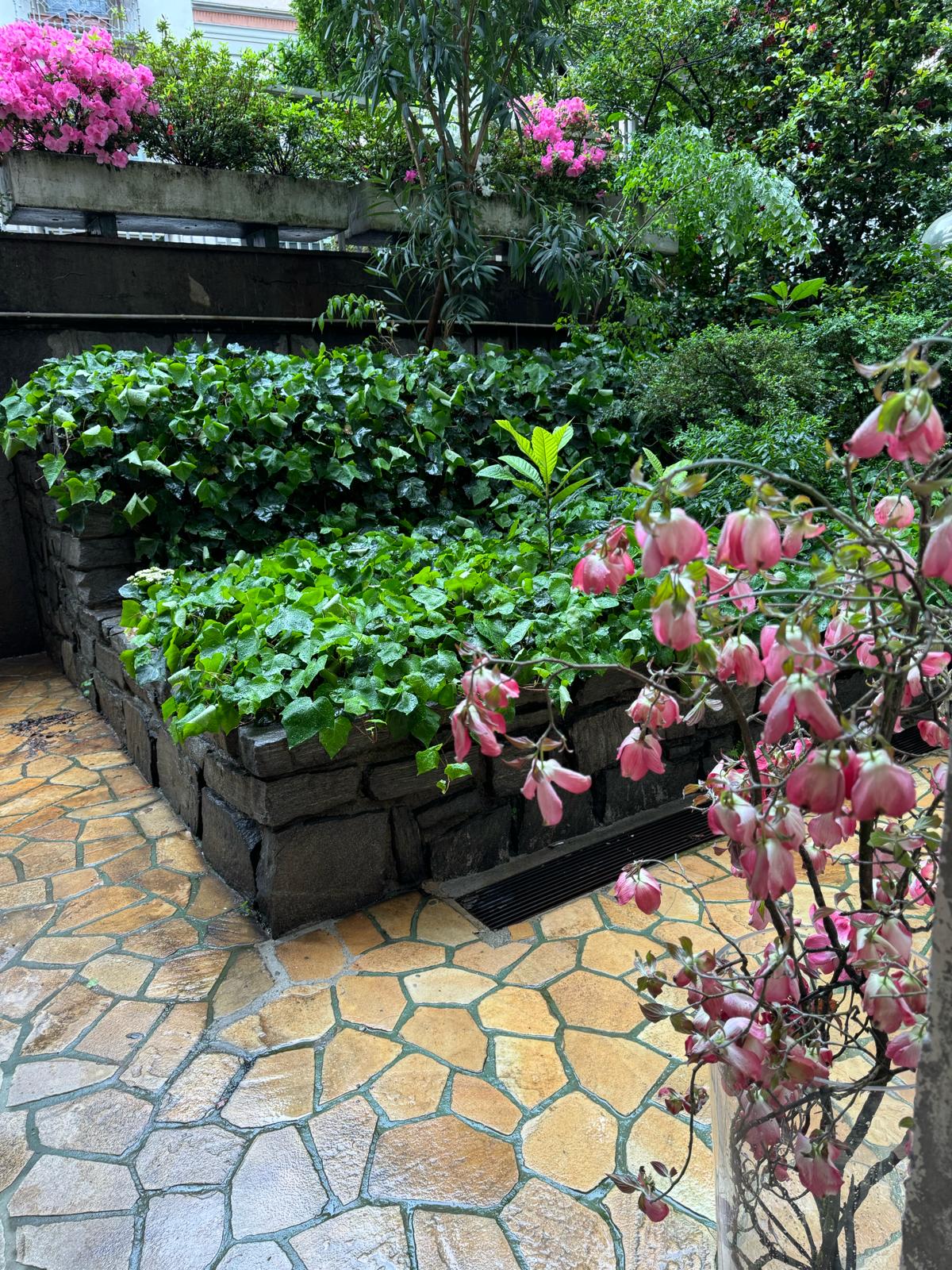 WhatsApp Image 2024-04-16 at 13.48.04 WhatsApp Image 2024-04-16 at 13.48.04