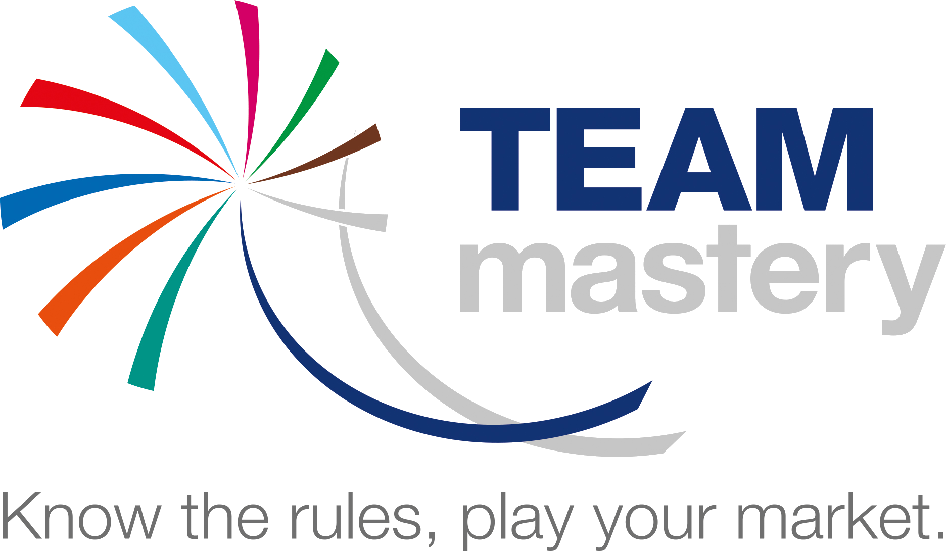 logo TEAM mastery HR