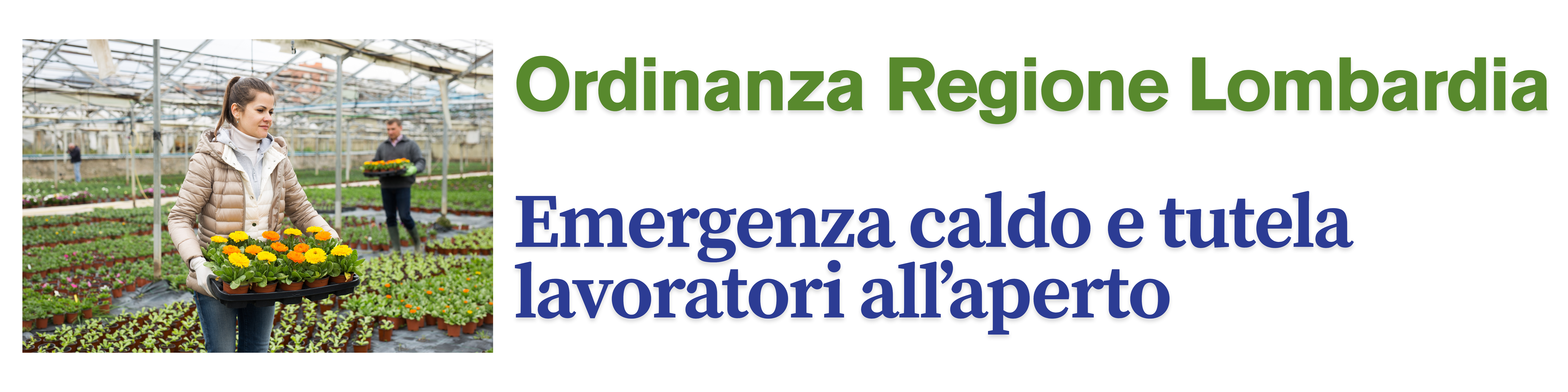 regione lombardia