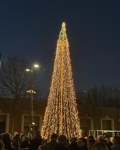 albero 400
