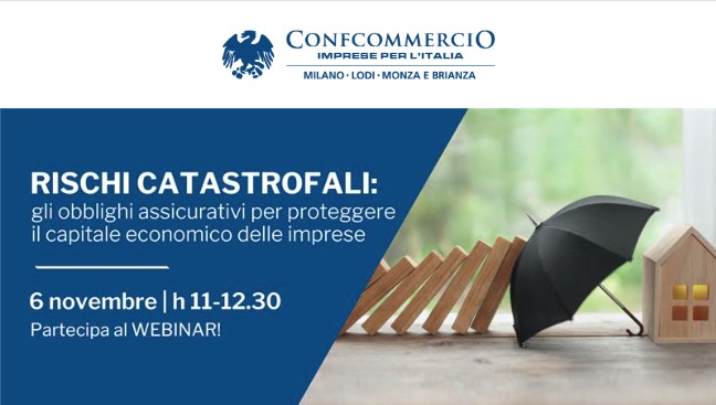Webinar rischi catastrofali 6 novembre