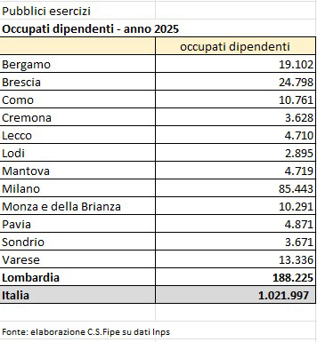 Fipe Rapporto ristorazione dati Lombardia 4