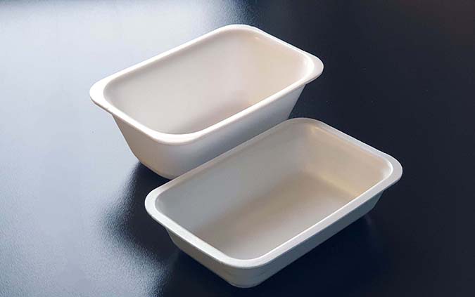 Versalis vassoi Versalis vassoi