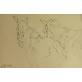 Disegno su carta - 1885 - misure mm. 75X110